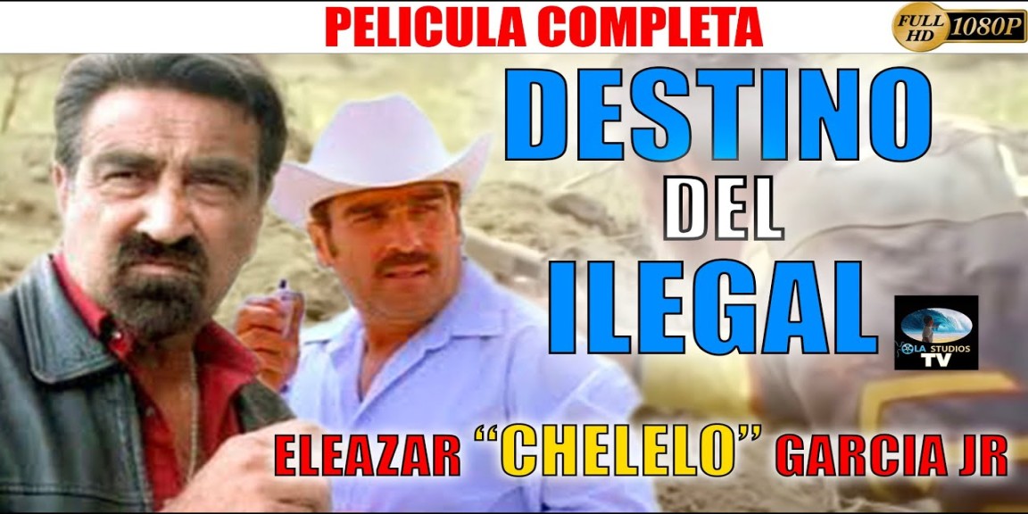 🎬 DESTINO DEL ILEGAL (CHELELO Jr) - Película completa en Español  OLA  STUDIOS TV